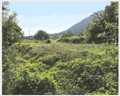  2025Ÿ��21535 �泲 ������ �ŷ��� �ſ븮 1322      ����(��)���