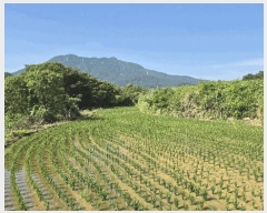  2025Ÿ��21535 �泲 ������ �ŷ��� �ſ븮 1322      ����(��)���