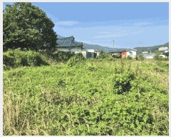  2025Ÿ��21535 �泲 ������ �ŷ��� �ſ븮 1322      ����(��)���