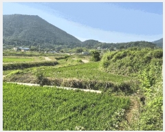  2025Ÿ��21535 �泲 ������ �ŷ��� �ſ븮 1322      ����(��)���