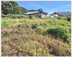  2025Ÿ��21535 �泲 ������ �ŷ��� �ſ븮 1322      ����(��)���