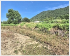  2025Ÿ��21535 �泲 ������ �ŷ��� �ſ븮 1322      ����(��)���