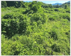  2025Ÿ��21560 �泲 ������ ���� ������ ��40-1      ����(��1)���