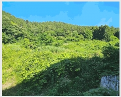  2025Ÿ��21560 �泲 ������ ���� ������ ��40-1      ����(��1)���