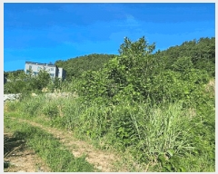  2025Ÿ��21560 �泲 ������ ���� ������ ��40-1      ����(��1)���