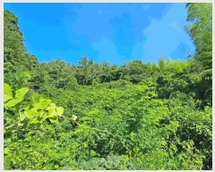  2025Ÿ��21560 �泲 ������ ���� ������ ��40-1      ����(��1)���