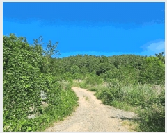  2025Ÿ��21560 �泲 ������ ���� ������ ��40-1      ����(��1)���