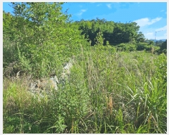  2025Ÿ��21560 �泲 ������ ���� ������ ��40-1      ����(��1)���