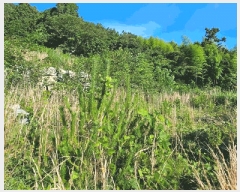  2025Ÿ��21560 �泲 ������ ���� ������ ��40-1      ����(��1)���