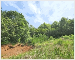  2025Ÿ��21570  �Ӿ߰��