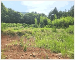  2025Ÿ��21570  �Ӿ߰��