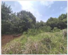  2025Ÿ��21570  �Ӿ߰��