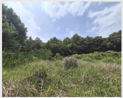  2025Ÿ��21570  �Ӿ߰��