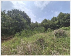  2025Ÿ��21570  �Ӿ߰��