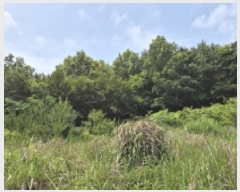  2025Ÿ��21570  �Ӿ߰��