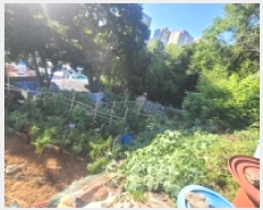  2025Ÿ��21577 �泲 �뿵�� �Ͻŵ� 134       ����(��1)���