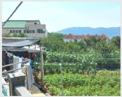  2025Ÿ��21585 �泲 ������ �Ͽ�� �ҵ��� 96-4      ����(��1)���