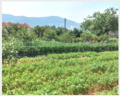  2025Ÿ��21585 �泲 ������ �Ͽ�� �ҵ��� 96-4      ����(��1)���