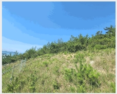  2025Ÿ��21667  �Ӿ߰��