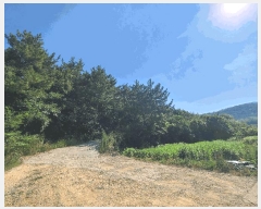  2025Ÿ��21667  �Ӿ߰��