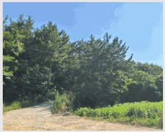  2025Ÿ��21667  �Ӿ߰��