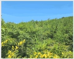  2025Ÿ��21667  �Ӿ߰��