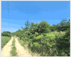  2025Ÿ��21667  �Ӿ߰��