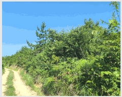  2025Ÿ��21667  �Ӿ߰��