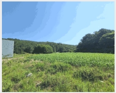  2025Ÿ��21667  �Ӿ߰��