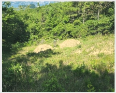  2025Ÿ��21667  �Ӿ߰��