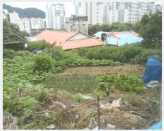  2025Ÿ��21683  �������