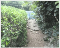  2025Ÿ��21683  �������