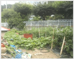  2025Ÿ��21683  �������