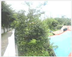  2025Ÿ��21683  �������