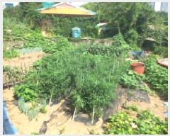  2025Ÿ��21683  �������