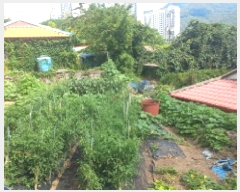  2025Ÿ��21683  �������