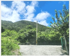  2025Ÿ��21691 �泲 ������ ���θ� ������ 329      ����(��1)���