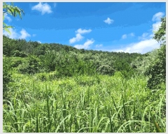  2025Ÿ��21691 �泲 ������ ���θ� ������ 329      ����(��1)���