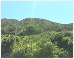  2025Ÿ��21691 �泲 ������ ���θ� ������ 329      ����(��1)���