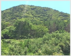  2025Ÿ��21691 �泲 ������ ���θ� ������ 329      ����(��1)���