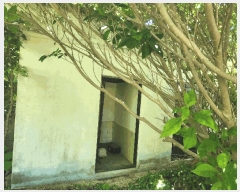  2025Ÿ��21699  ���ð��