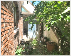  2025Ÿ��21699  ���ð��