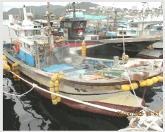  2025Ÿ��21707  ���ڰ��