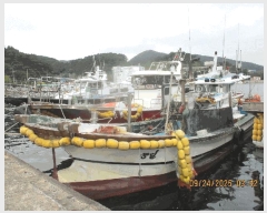  2025Ÿ��21707  ���ڰ��