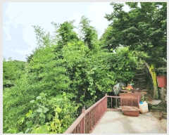  2025Ÿ��21715 �泲 ������ ���� ������ 276-40      ����(����)���