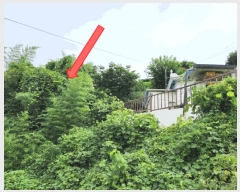  2025Ÿ��21715 �泲 ������ ���� ������ 276-40      ����(����)���