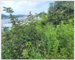  2025Ÿ��21715 �泲 ������ ���� ������ 276-40      ����(����)���