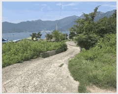  2025Ÿ��21723 �泲 �뿵�� �緮�� ������ 255      ���ð��