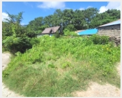  2025Ÿ��21723 �泲 �뿵�� �緮�� ������ 255      ���ð��