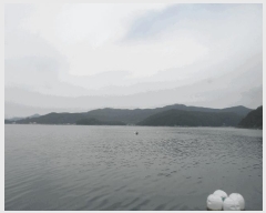  2025Ÿ��21731 �泲 �뿵�� ����� ǳȭ�� ����      ����ǰ��